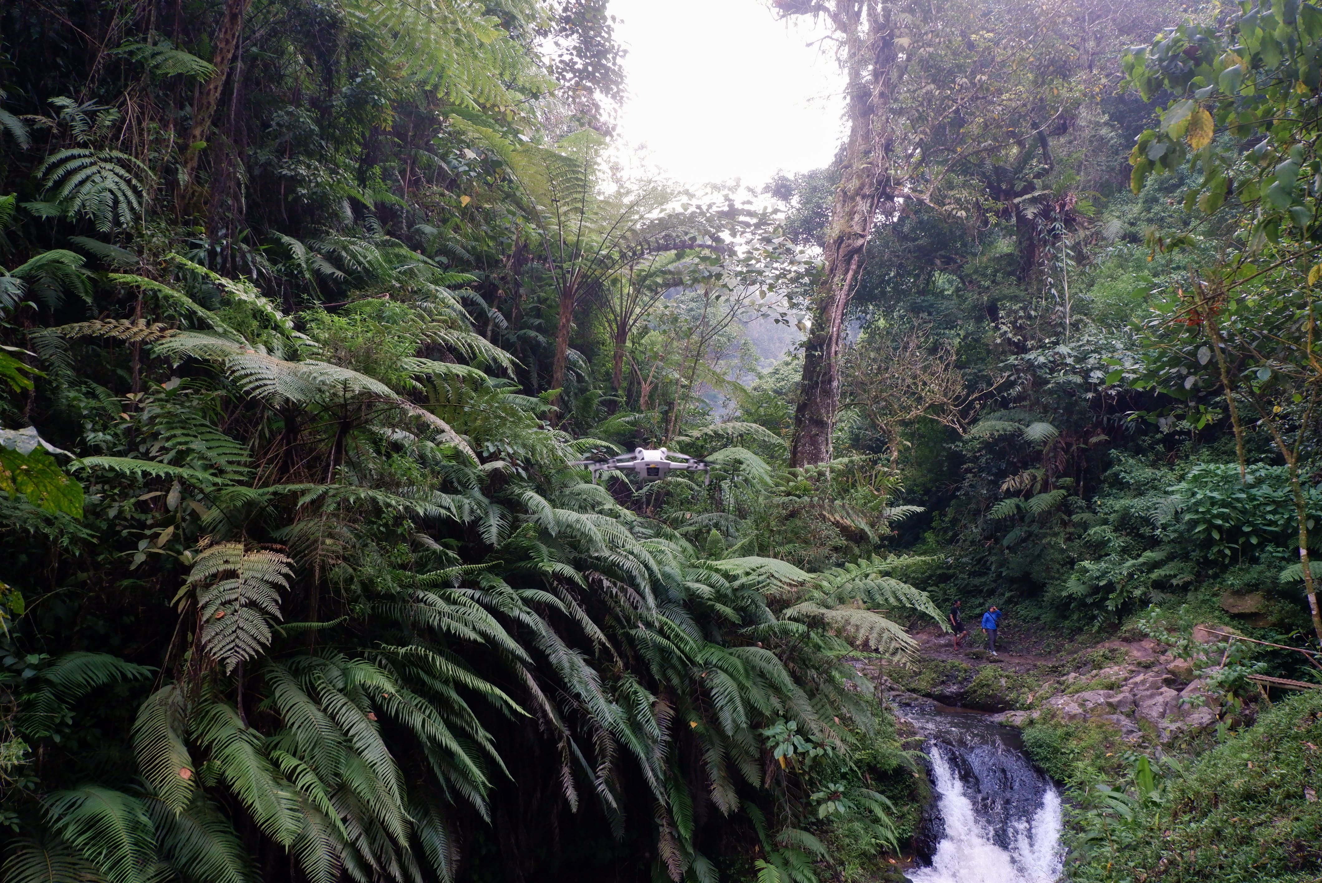 Curug Golosor