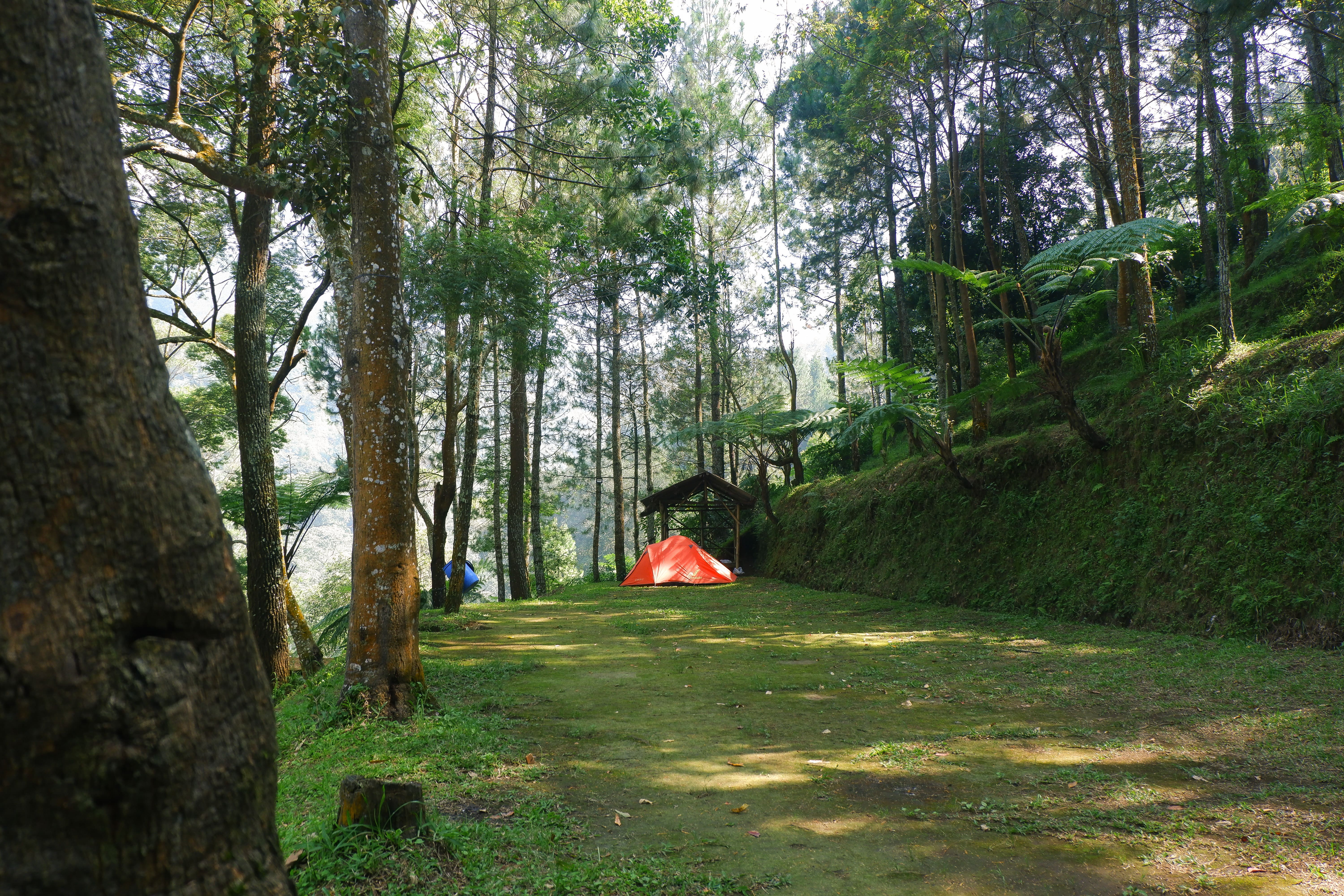 Camping Ground CIC