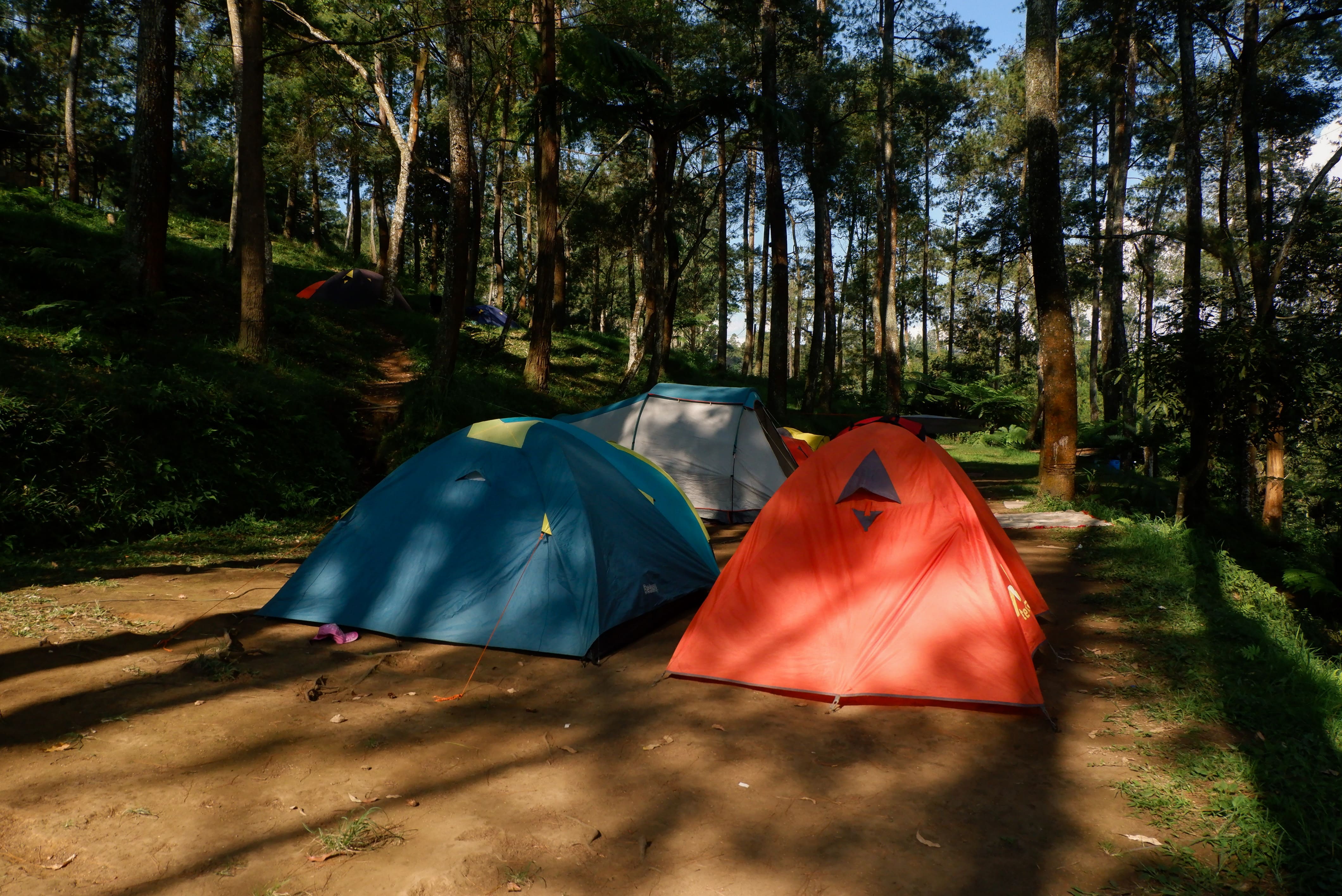 Camping Family