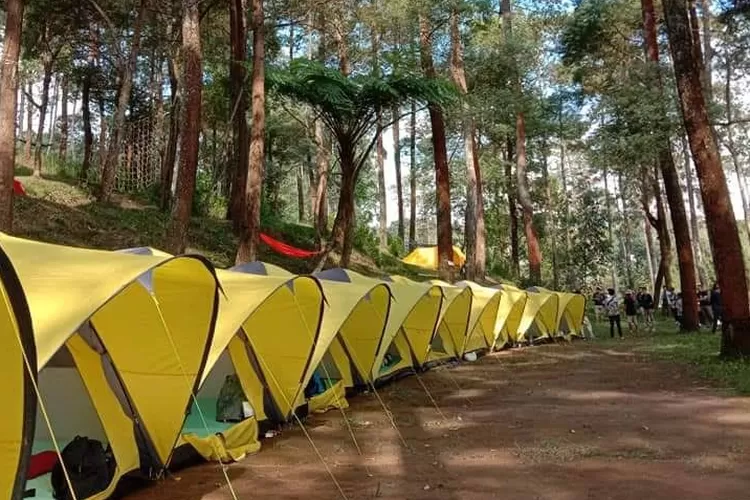 Tenda Camping