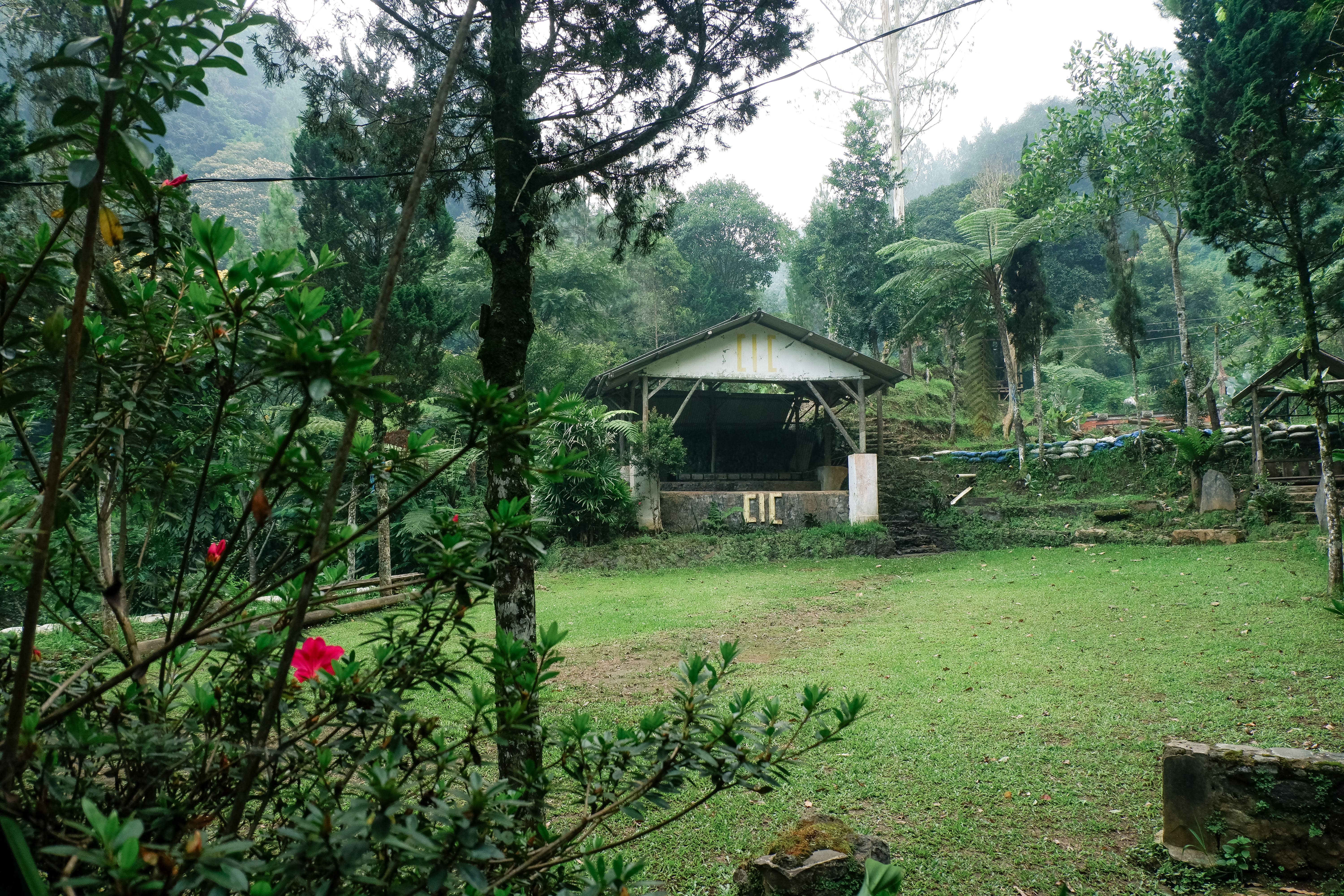 Gallery 2